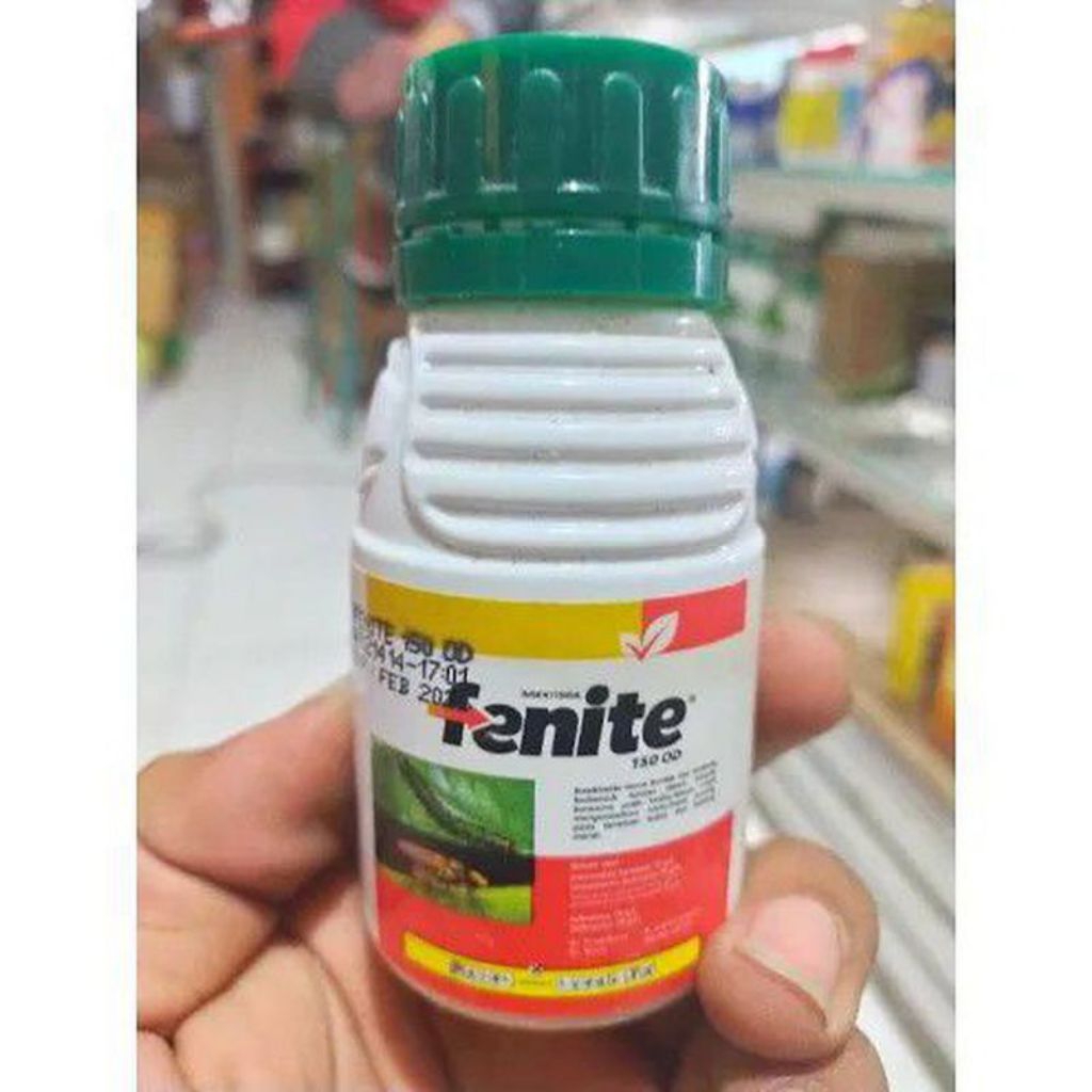 insektisida fenite 100 ml