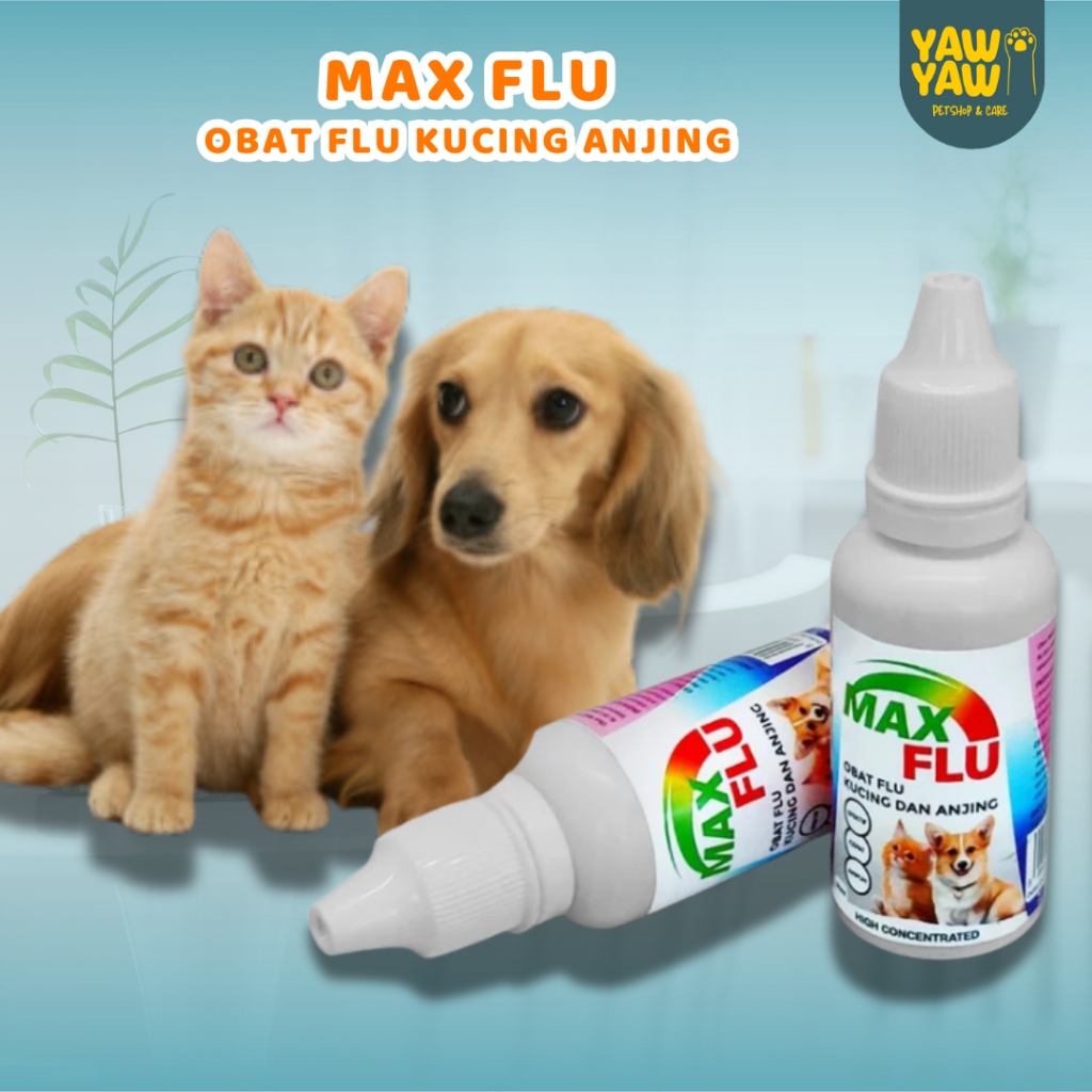 MAX Flu Obat Flu Batuk Demam Pilek Anjing Kucing Flucat Obat Flu Bersin Kucing Anjing Paling Ampuh