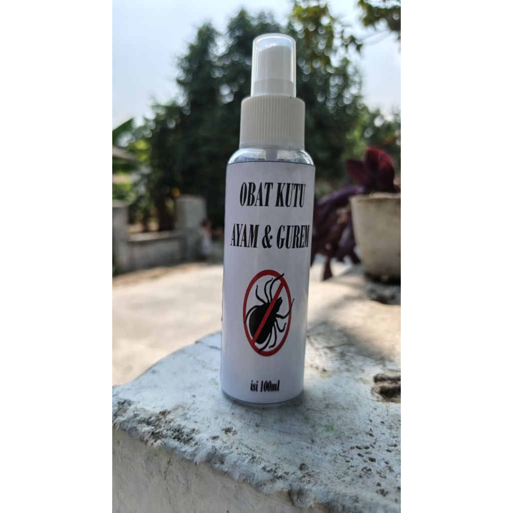 OBAT KUTU AYAM DAN GUREM
