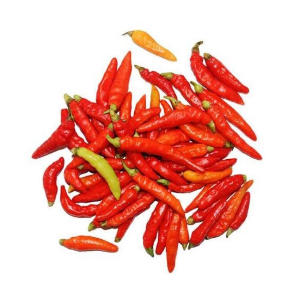 cabai merah/cengek domba
