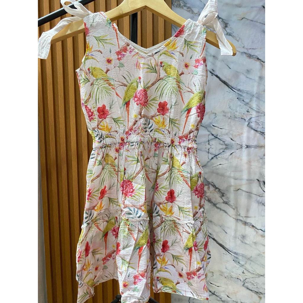 Preloved gingersnaps