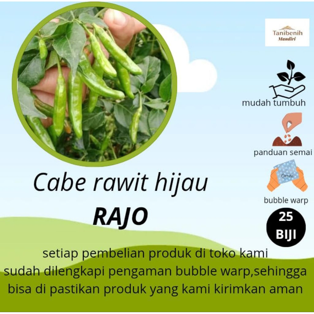 25 Biji Benih Cabe rawit hijau RAJO