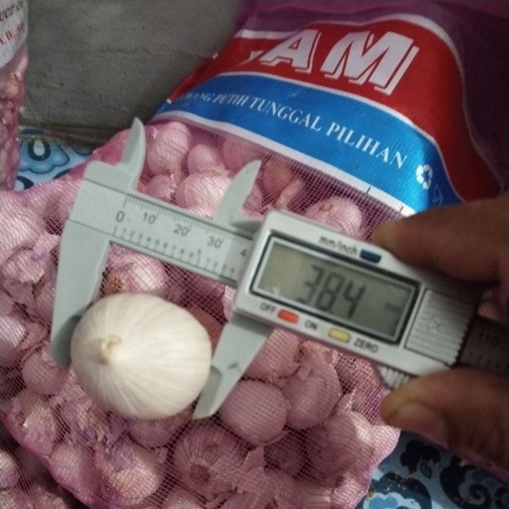 1kg bawang putih tunggal impor super jumbo