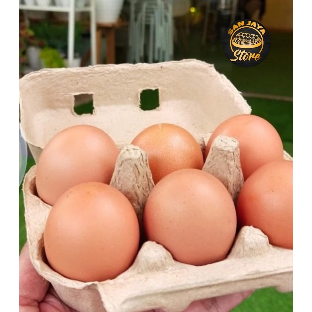 Paper egg / Tray egg kertas 6 lubang sudah ada pengunci