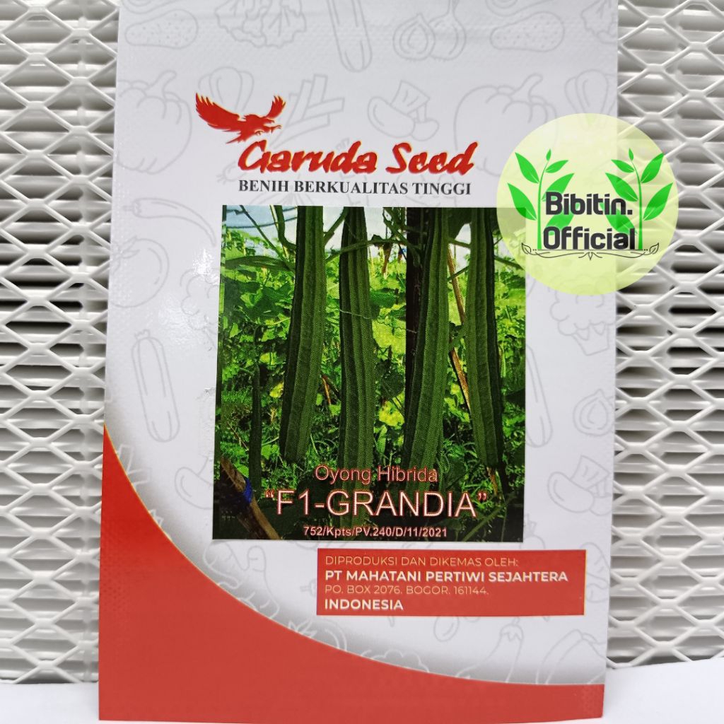 1 GRAM - BENIH BIBIT OYONG GAMBAS F1 "GRANDIA" - SMALL PACK GARUDA SEED
