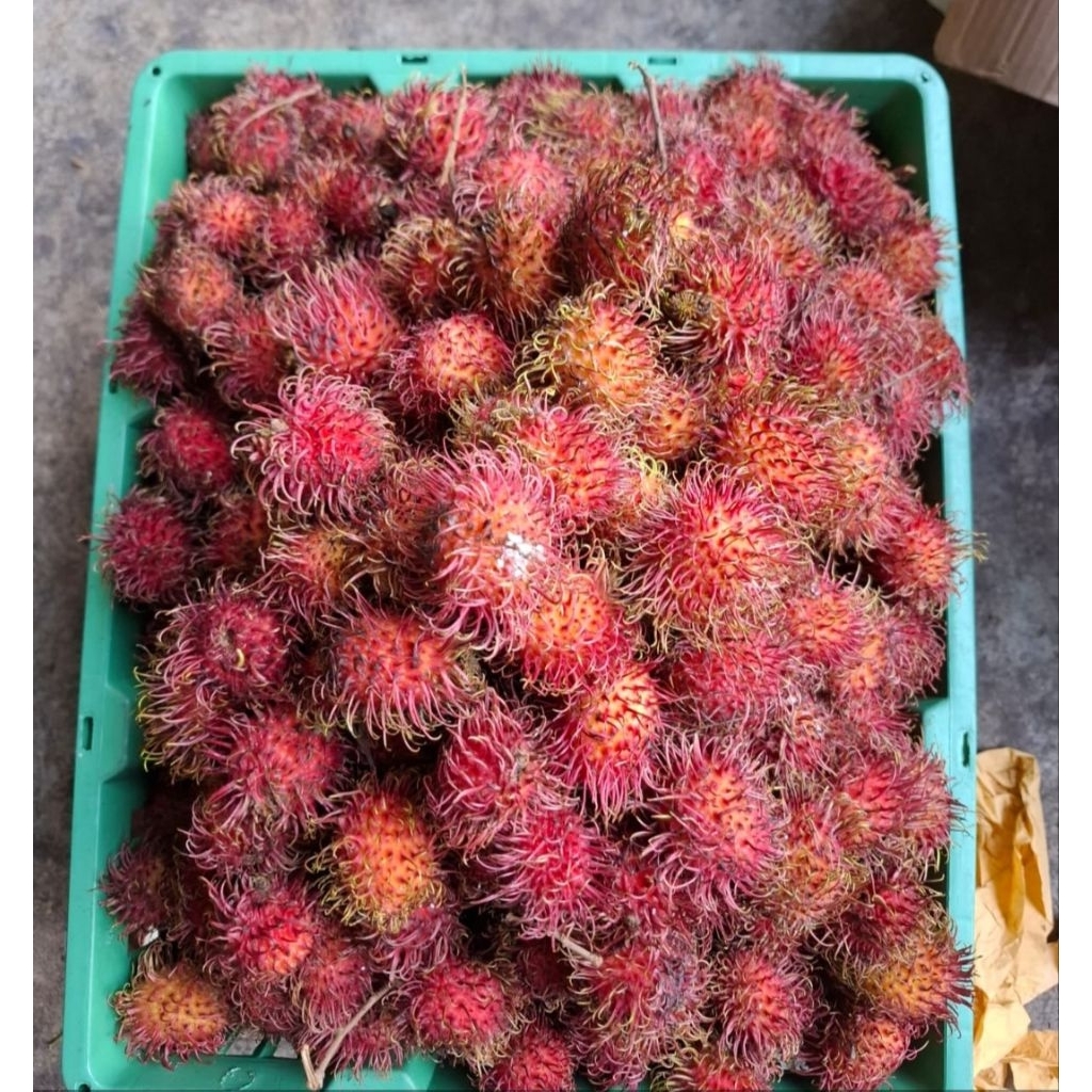 Rambutan Binjai Fresh Manis 1 Kg