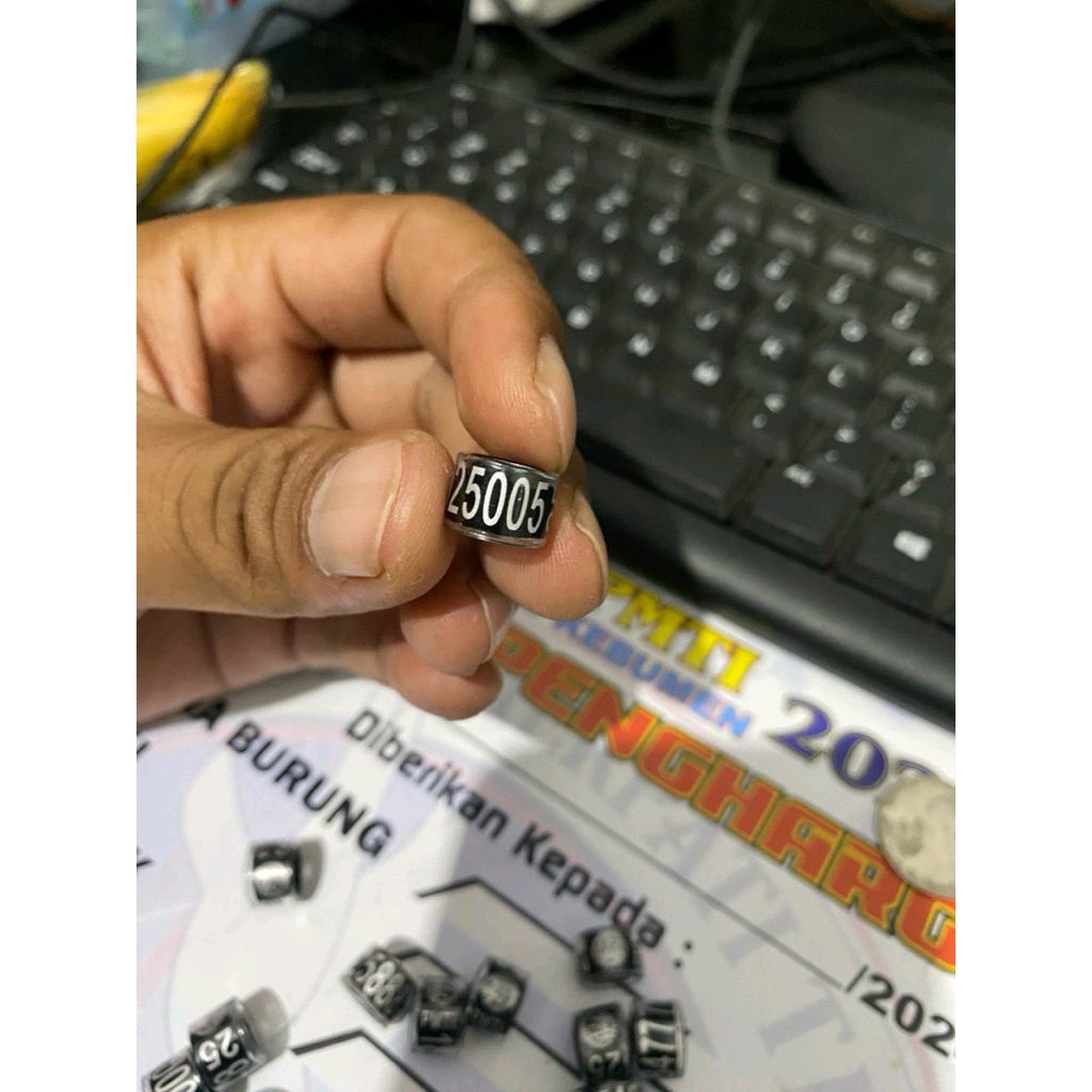 RING PMTI RESMI 2025 nomor cantik
