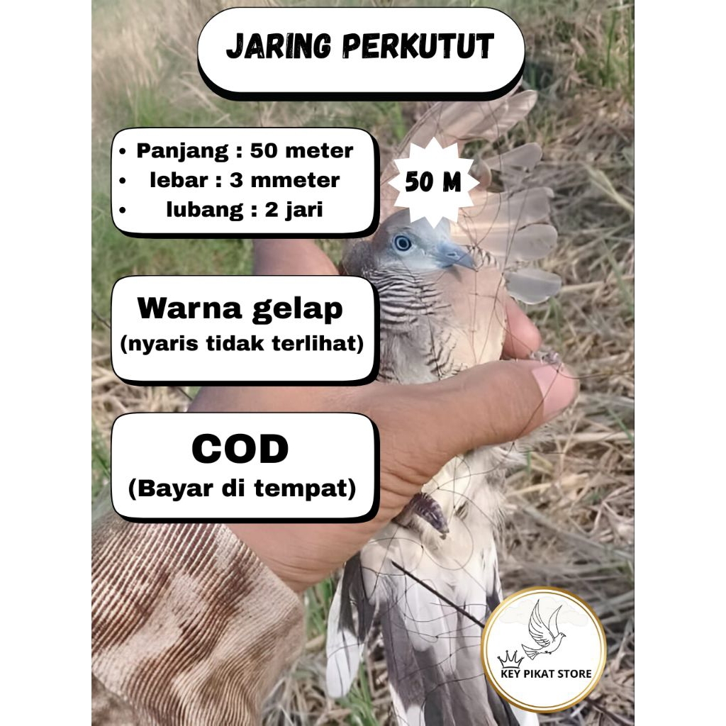 jaring burung perkutut siap pasang panjang 50 meter