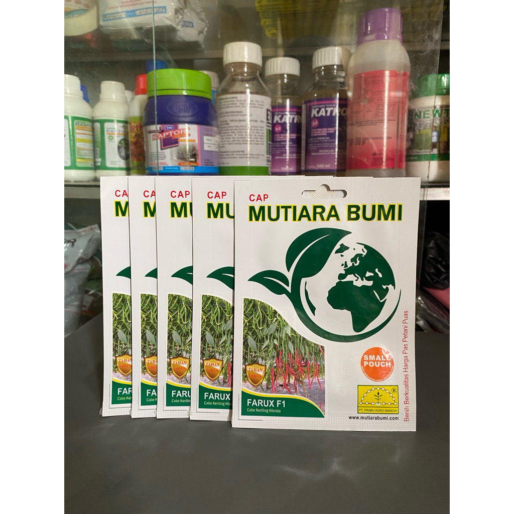 Bibit Cabe keriting  Hibrida Farux F1