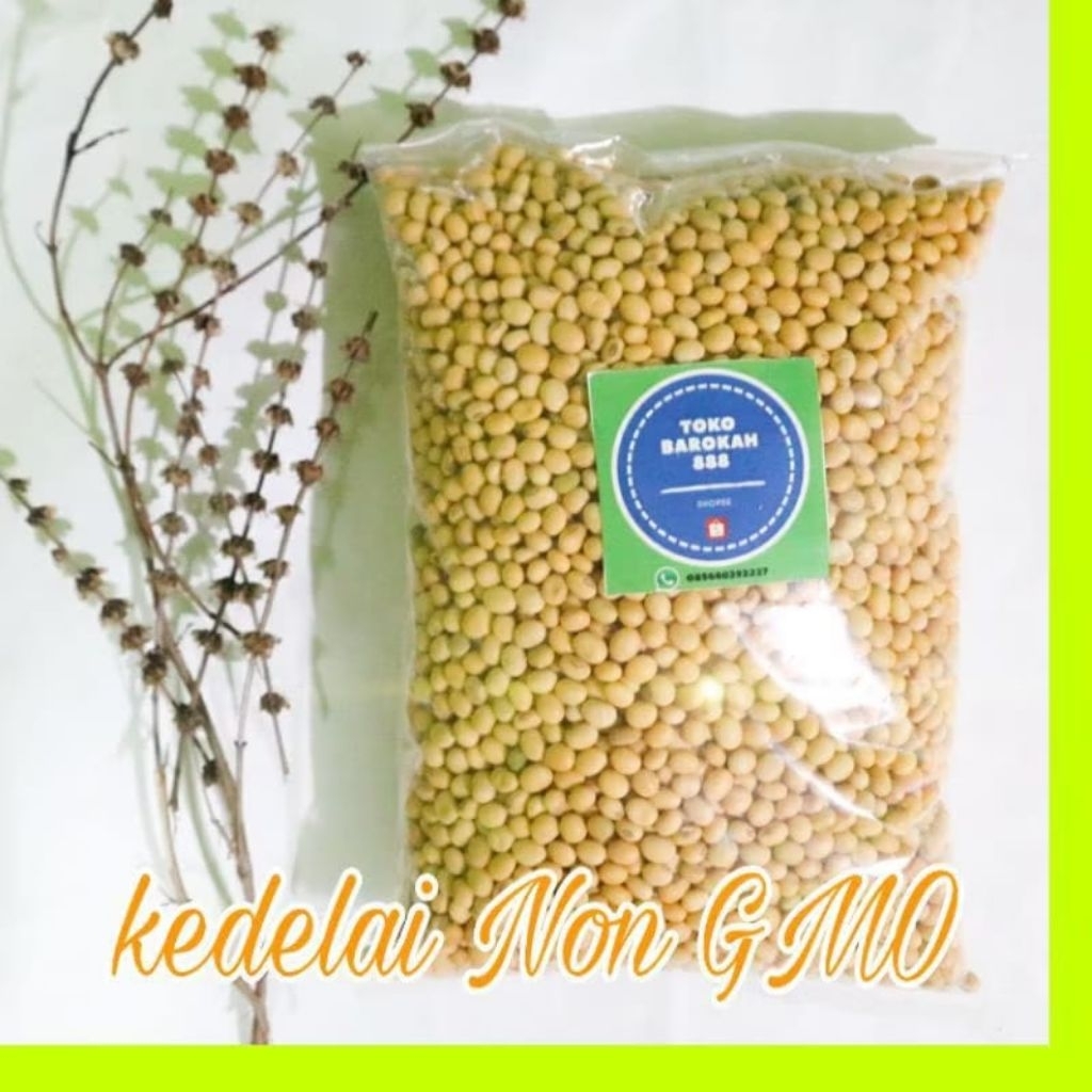 kedelai non gmo 50 kg