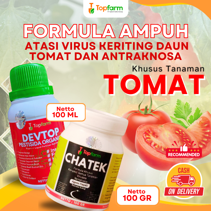 Pestisida Tanaman Tomat / Obat Hama Tanaman tomat / Obat Bercah Daun Dan Busuk Buah Tomat / Pestisid