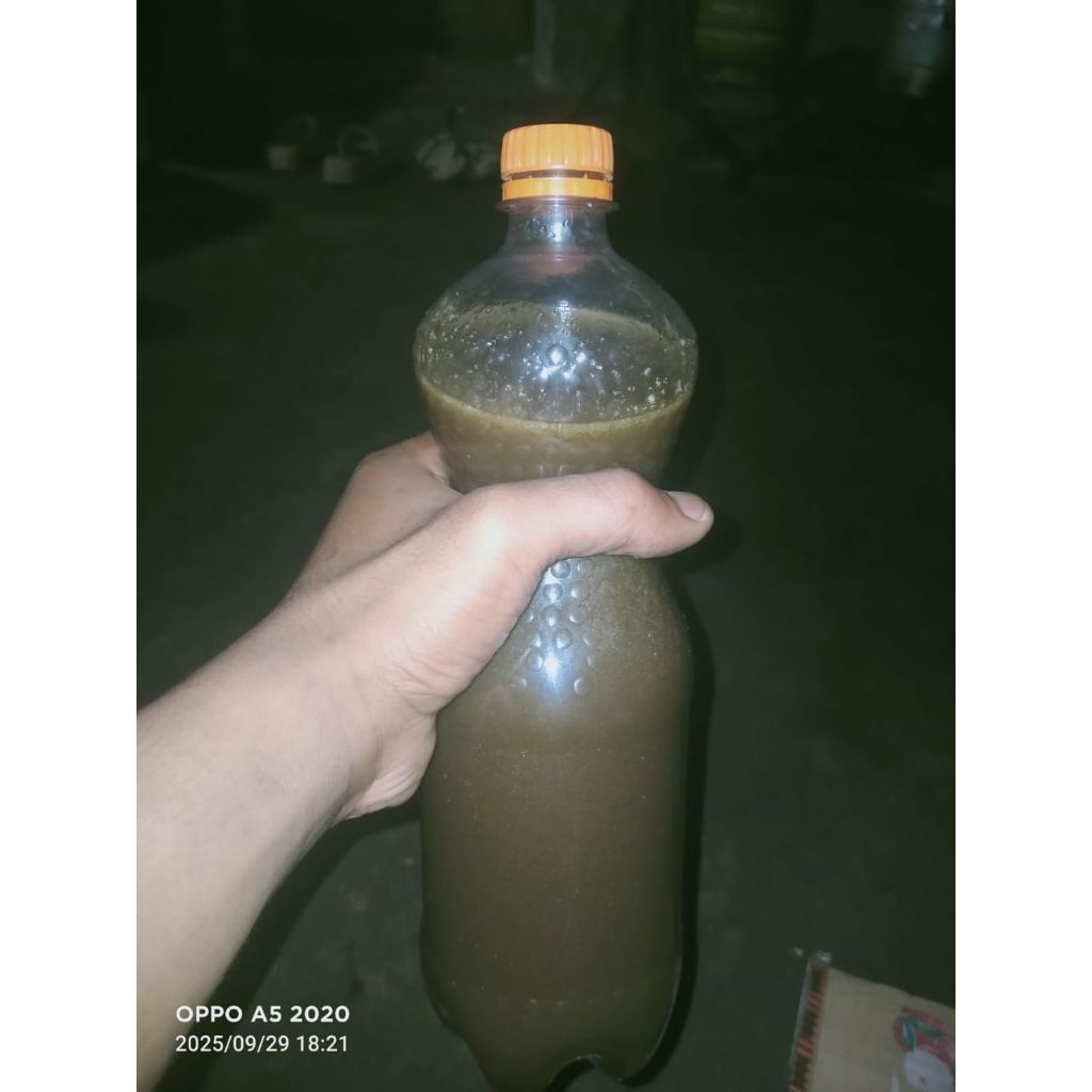 madu klanceng asli 1 liter