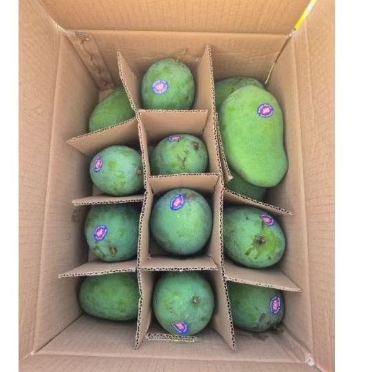 Mangga Alpukat Bangil