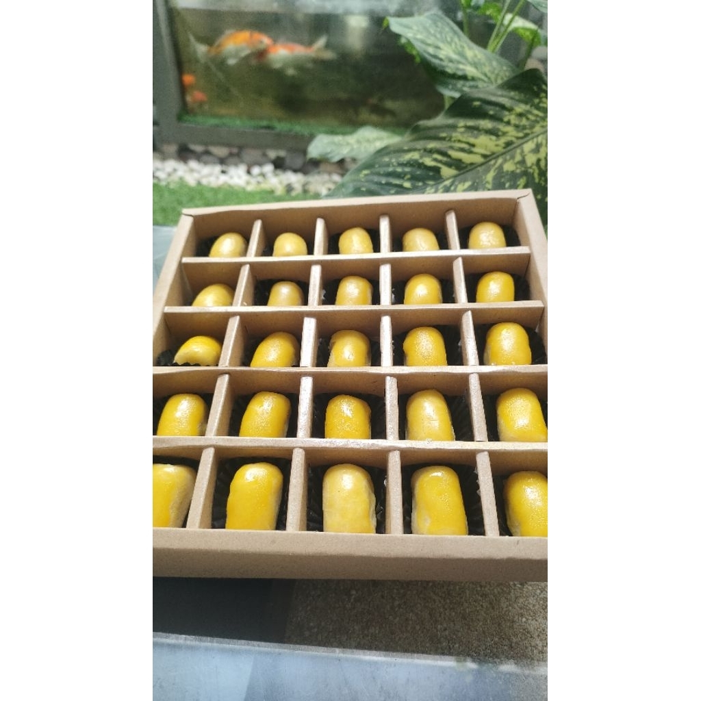 NASTAR PREMIUM WISMAN , NASTAR CLASSIC WISMAN