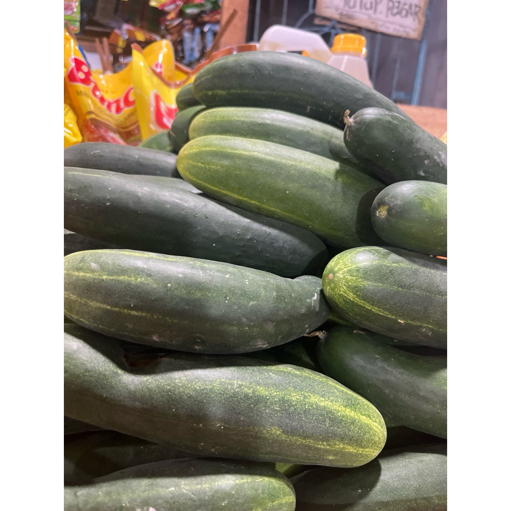 Timun hijou / Timun jepang