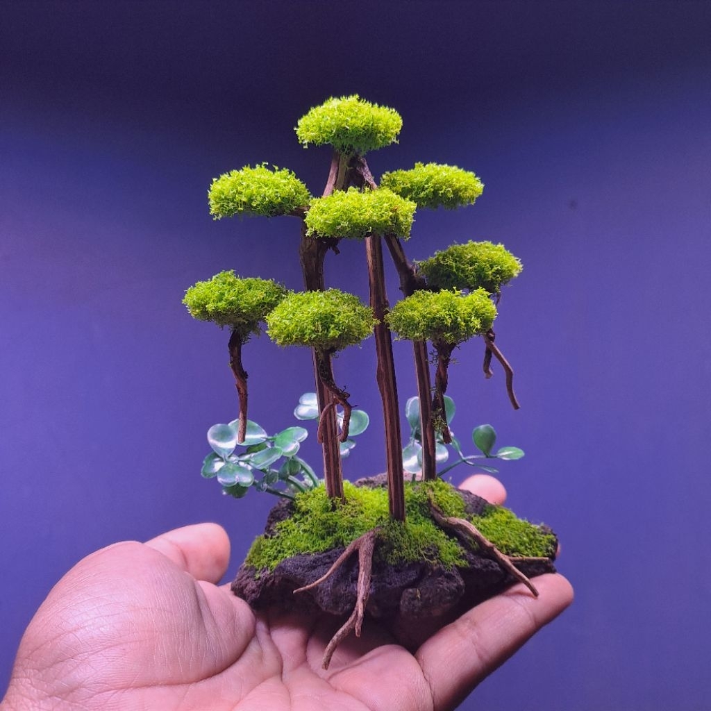 Bonsai Aquarium Sintetis Minimalis