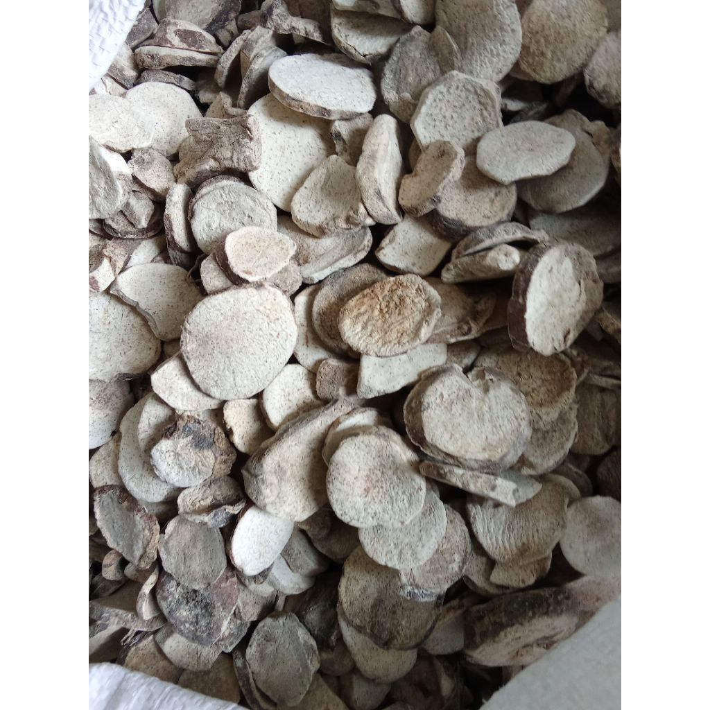 umbi keladi tikus berat bersih 1kg