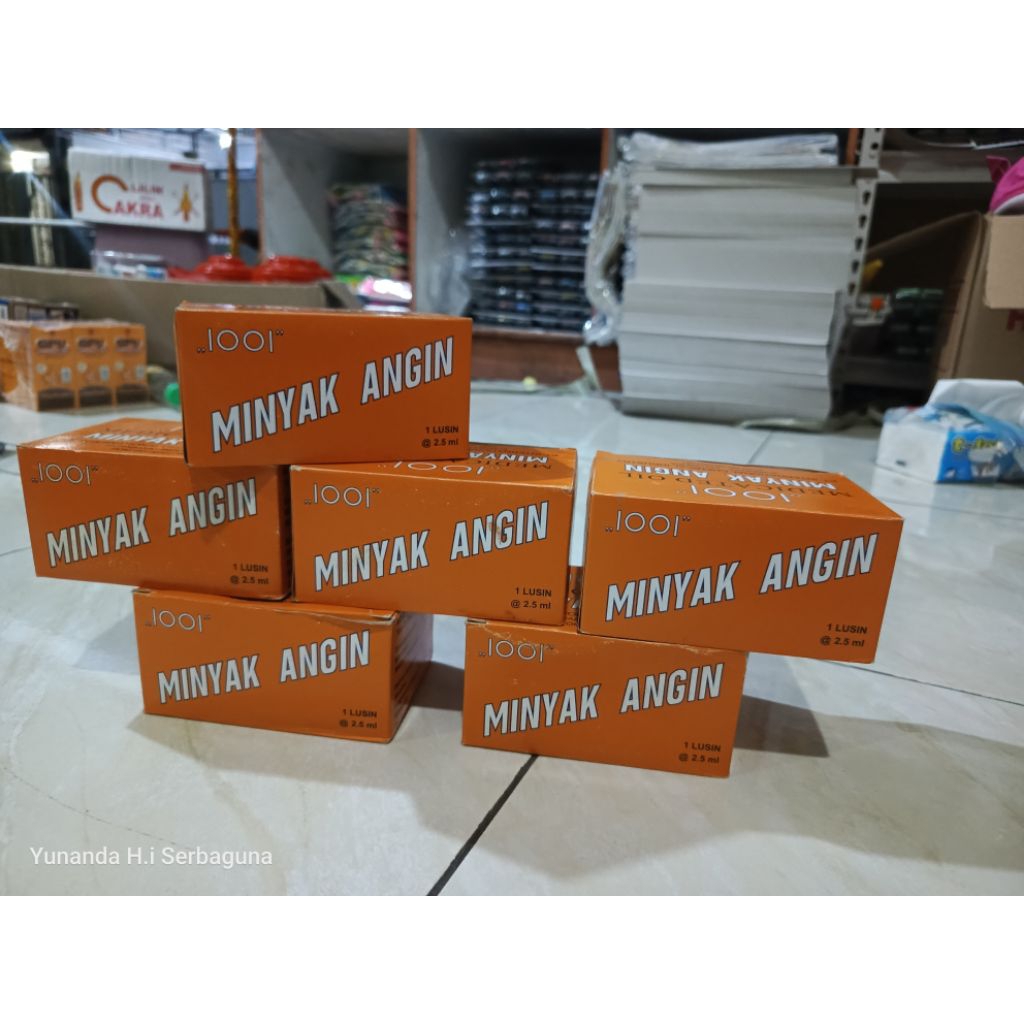 1 Box isi 12 pcs minyak angin 1001 original