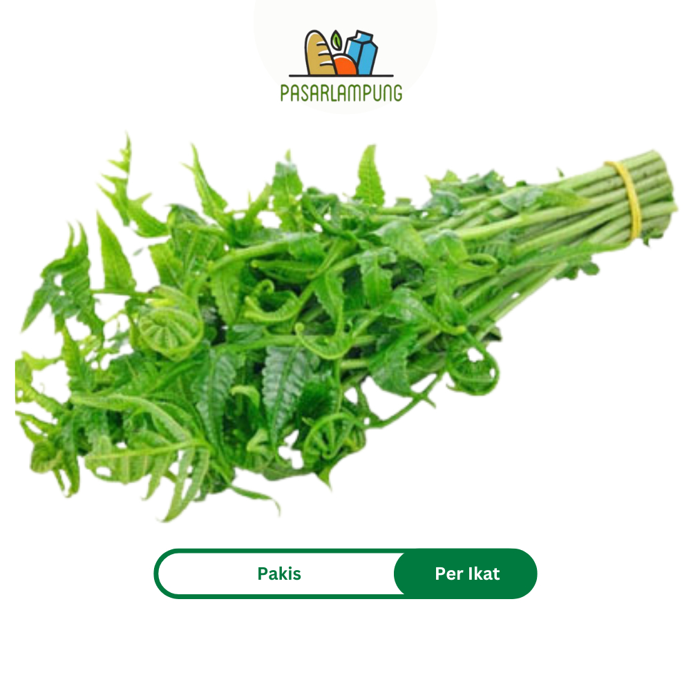 Sayur Pakis Segar Per Ikat Pasar Lampung