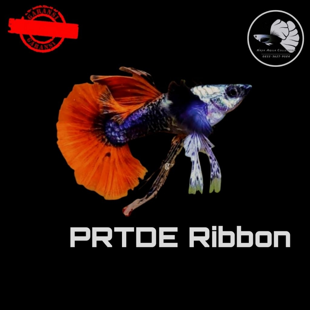 packing Styrofoam-PRTDE Ribbon