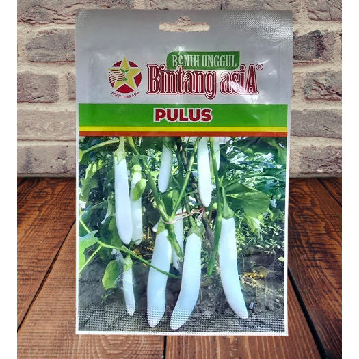 Benih Terong Panjang Putih PULUS
