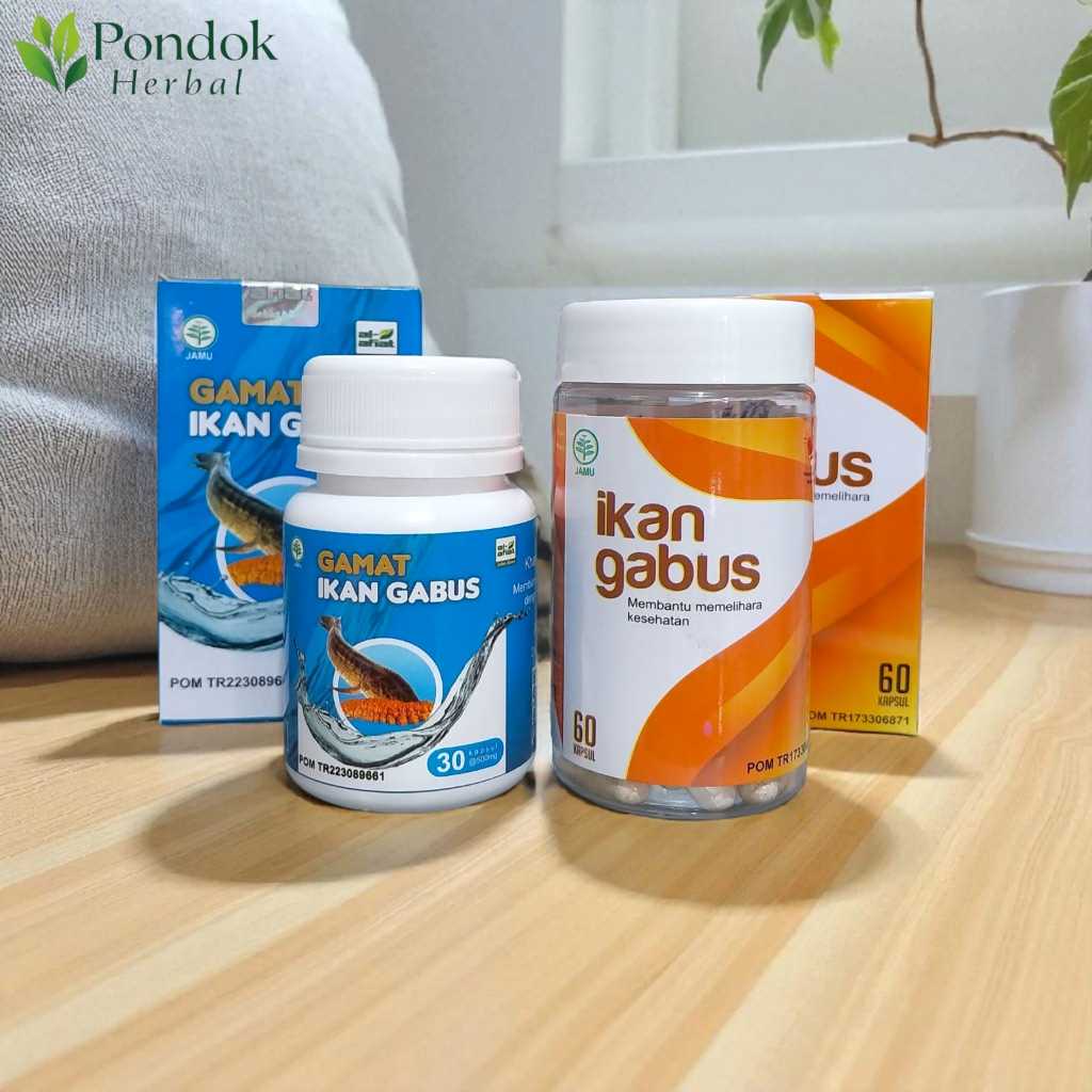 Kapsul Ikan Gabus 60 kapsul dan Gamat Ikan Gabus al afiat 30 kapsul