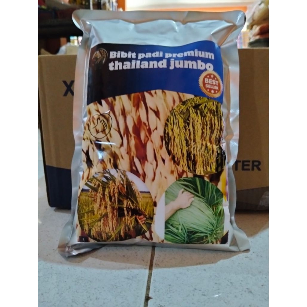 bibit padi thailand jumbo 1kg