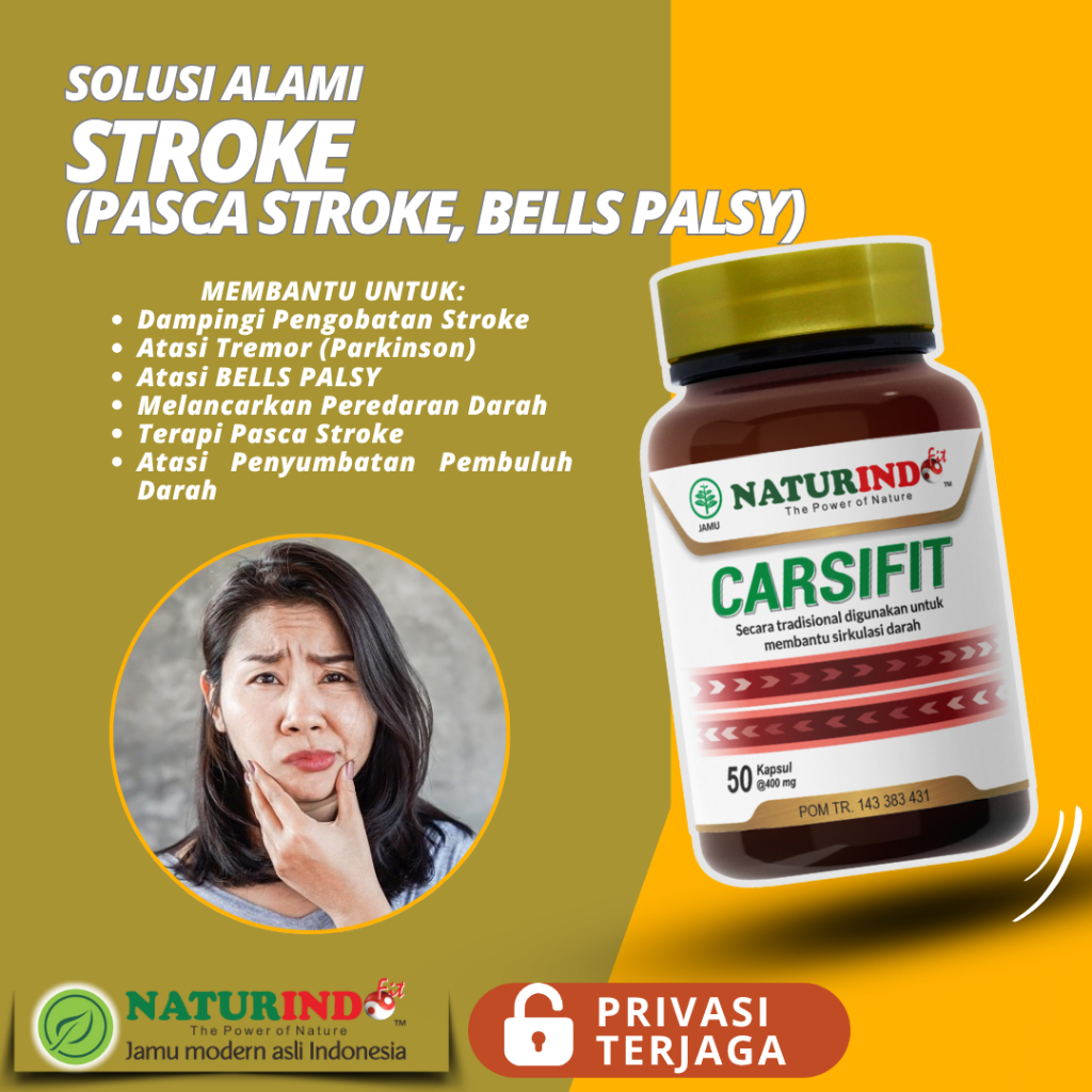 Herbal Alami Stroke Ringan Bells Palsy Terapi Pasca Stroke Lumpuh Menahun