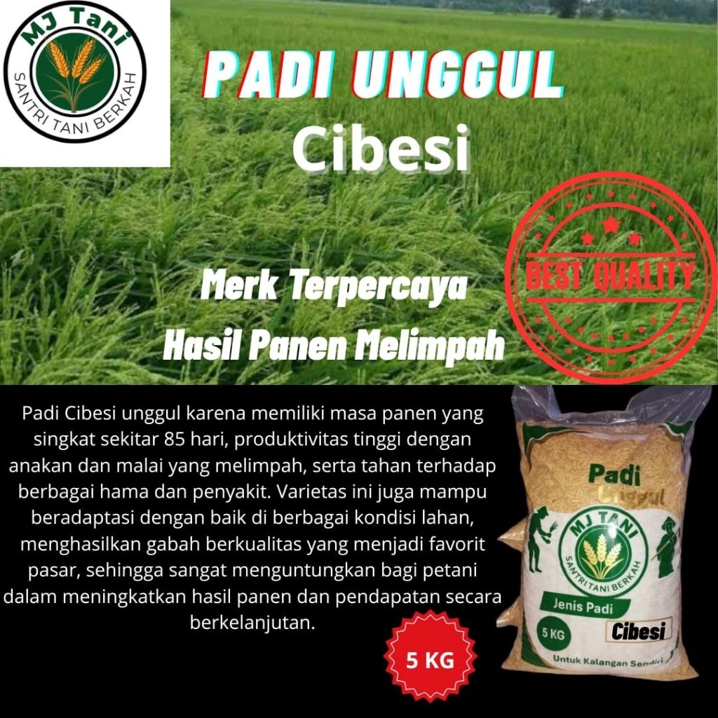 bibit padi cibesi 5kg