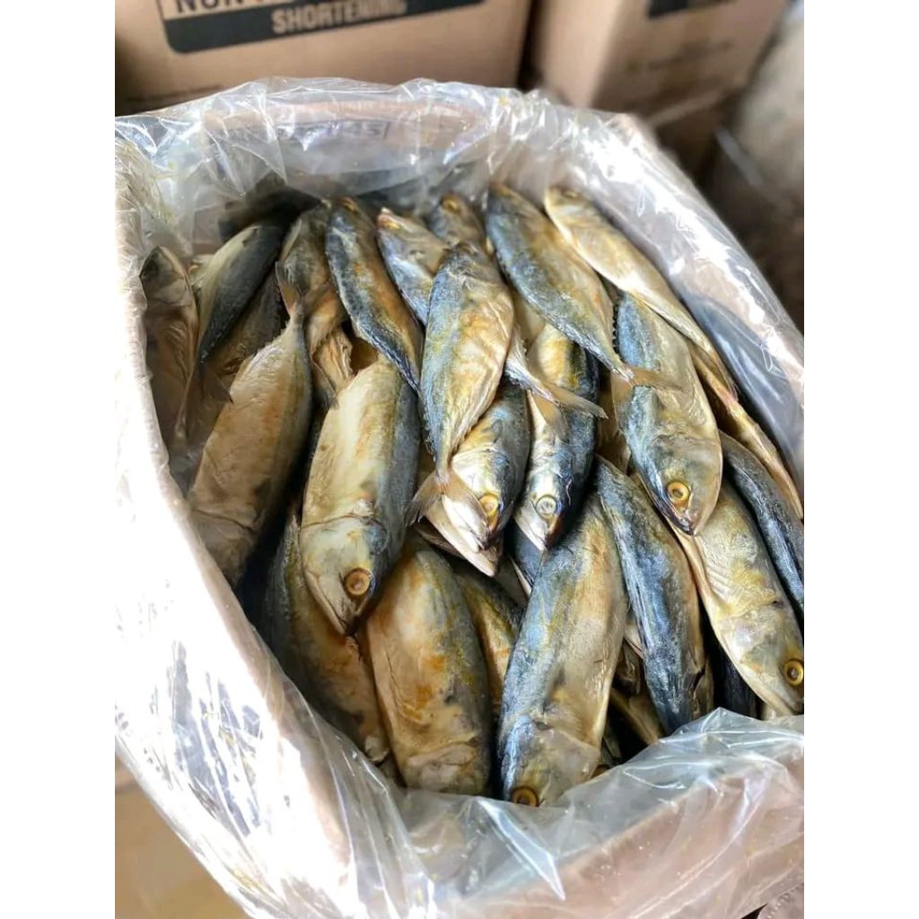 ikan asin peda jumbo lampung ikan asin peda jumbo lampung