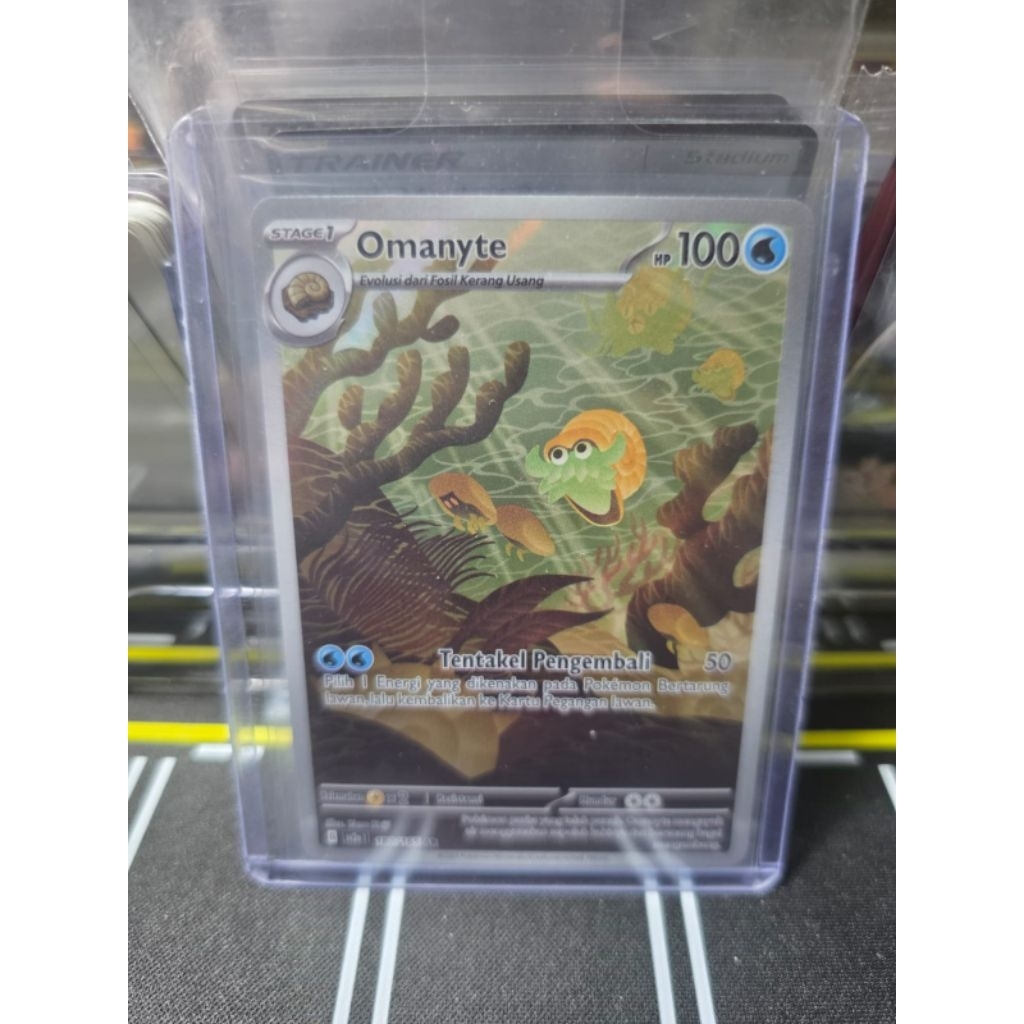 Omanyte AR/Pokemon Ar/Pokemon Indonesia
