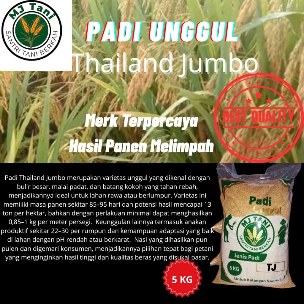 bibit padi Thailand jumbo 5kg