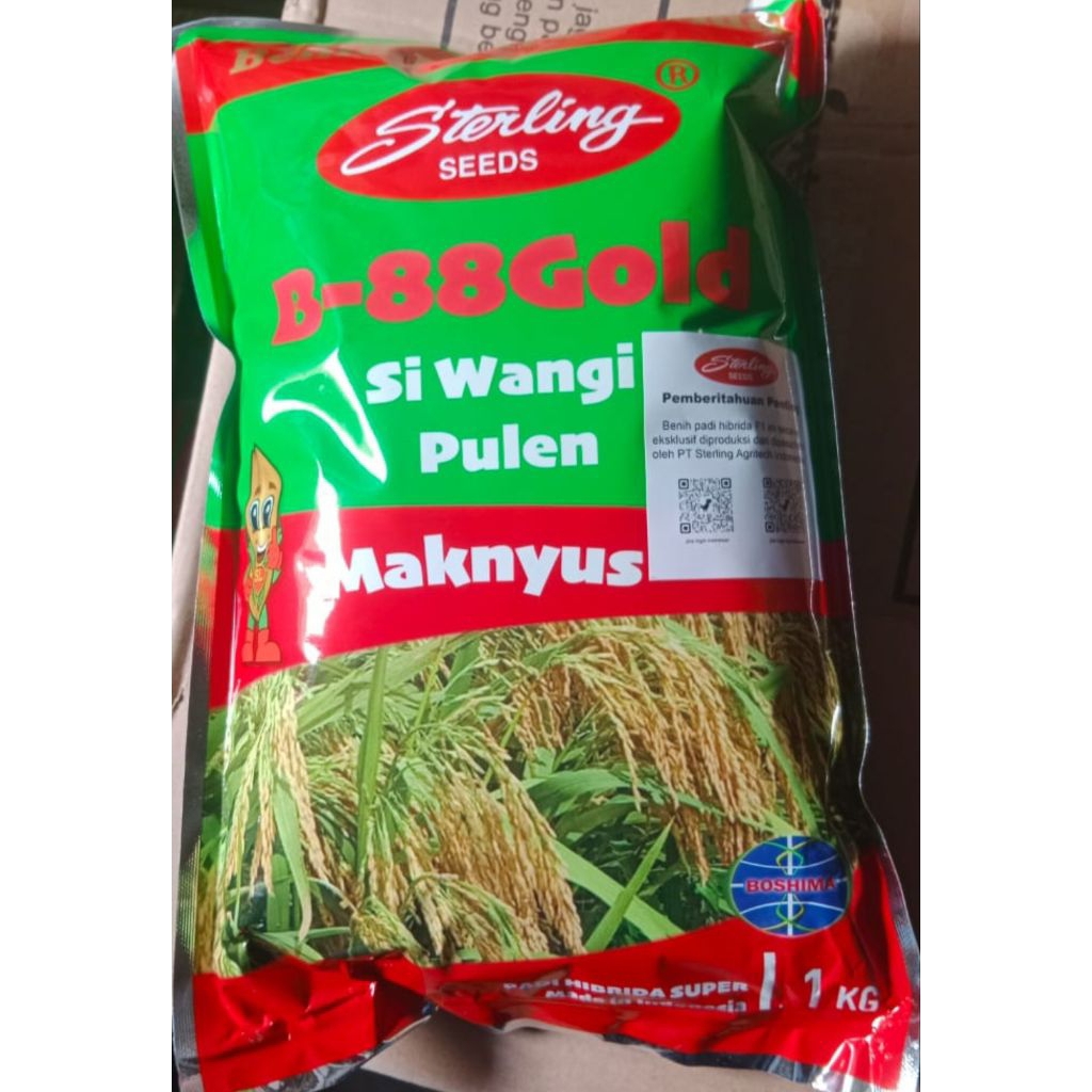 Bibit Padi hibrida Sterling B-88Gold si pulen maknyus & Sl 8SH
