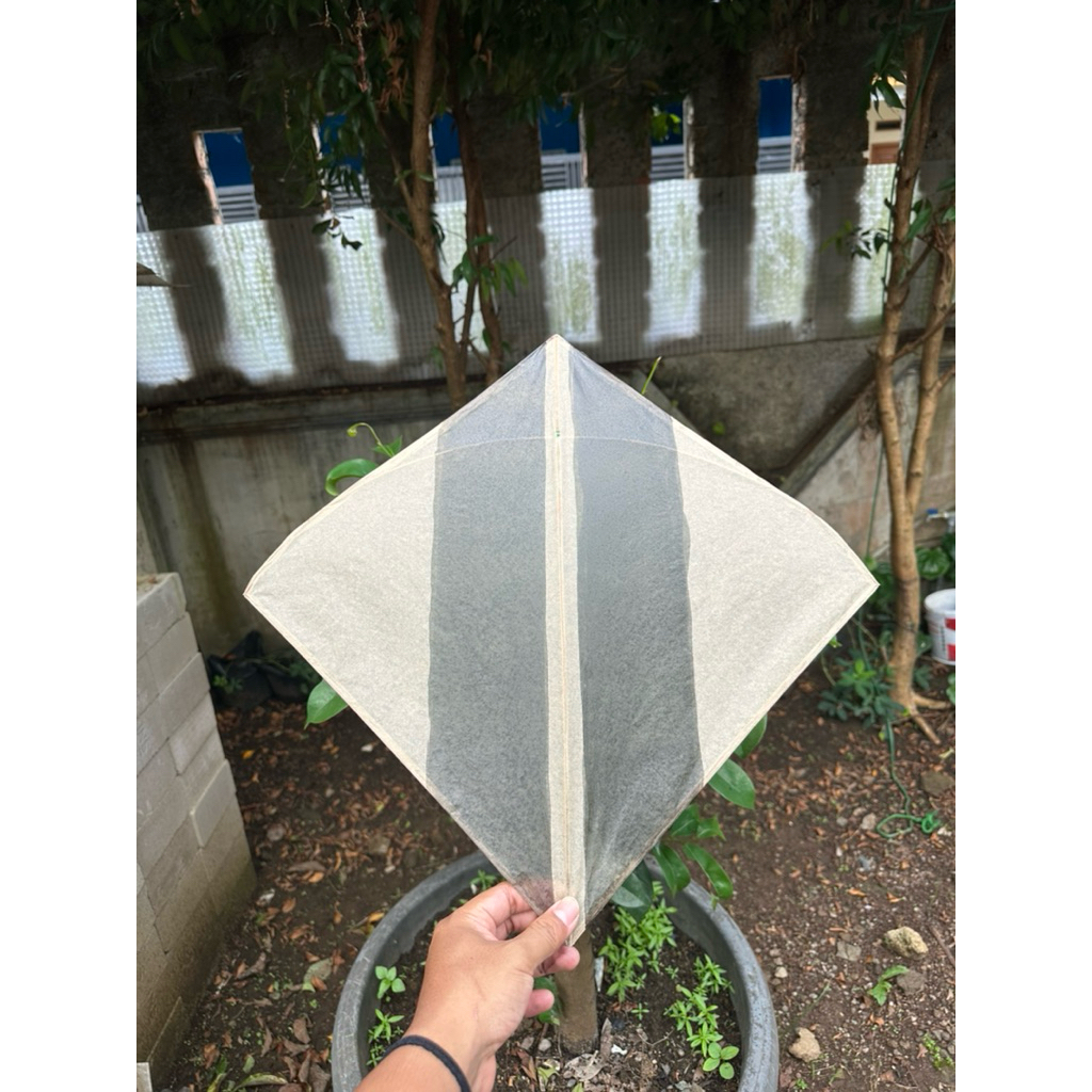 Layangan Seot Berotot Pulas Legened Isi 20 Uk54 Asli Sukabumi.Layangan Seot Aduan Spesial Turnamen C