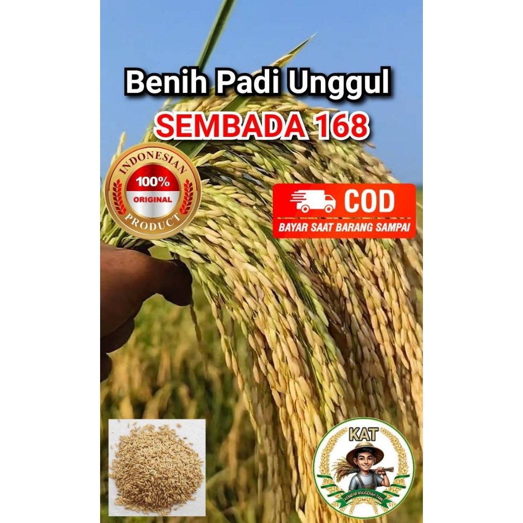 Benih Padi Hibrida SEMBADA 168 Kemasan 5 KG Kualitas SUPER
