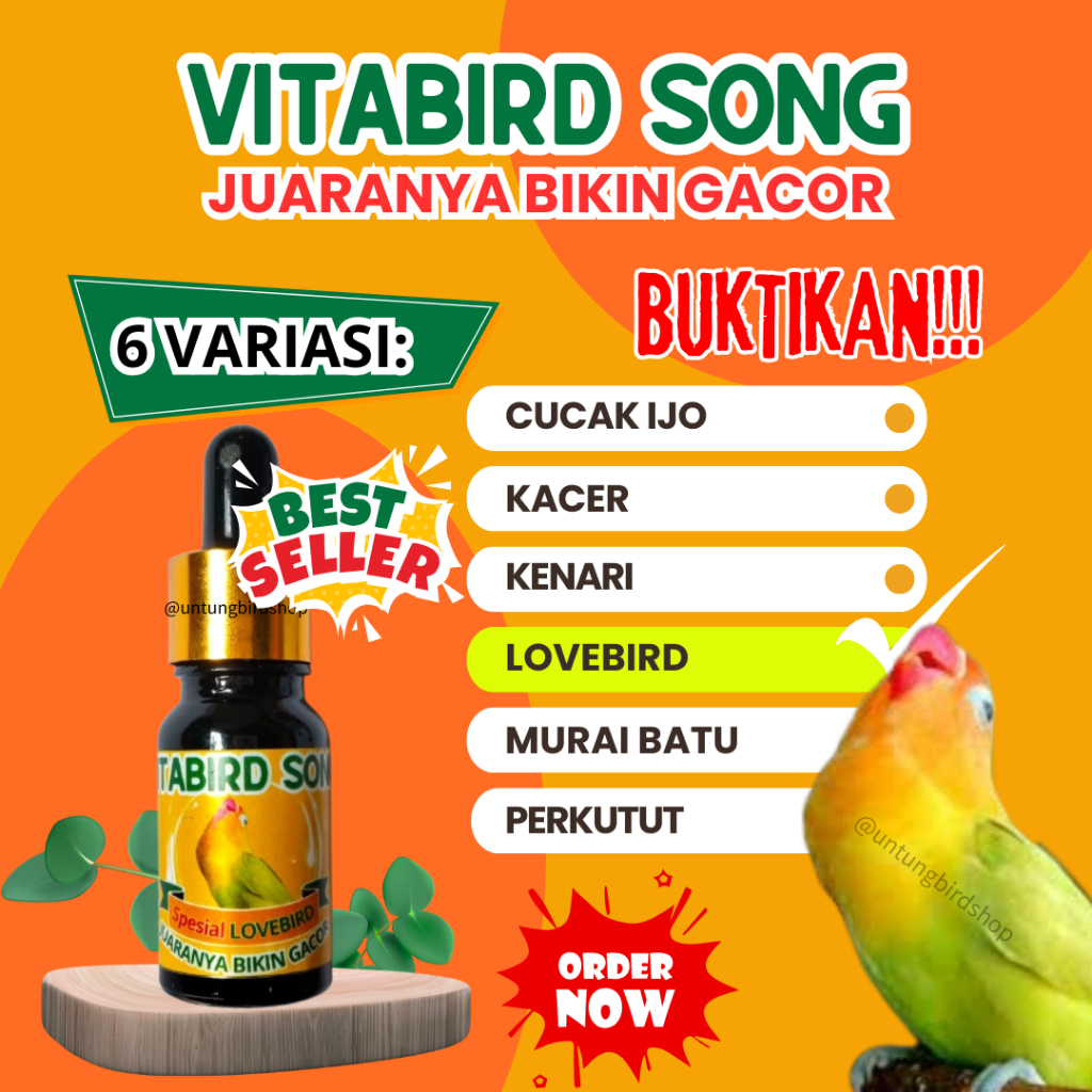 TERMURAH Vitabird Song Vitamin Lovebird Gacor Vitamin Lovebird Lomba Doping Lovebird Gacor