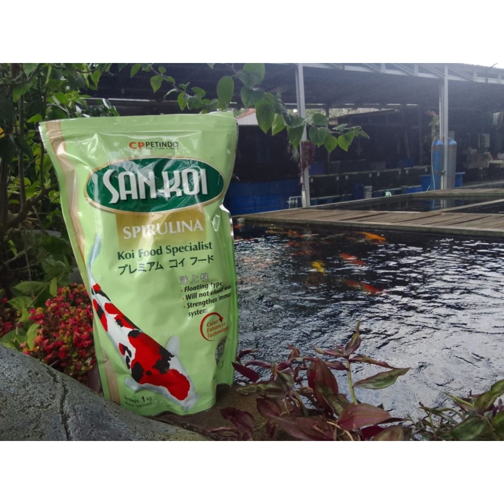 SAN KOI (Diproduksi oleh CPPETINDO)