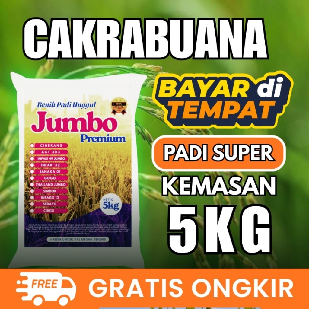Bibit Padi unggul Cakrabuana 5kg