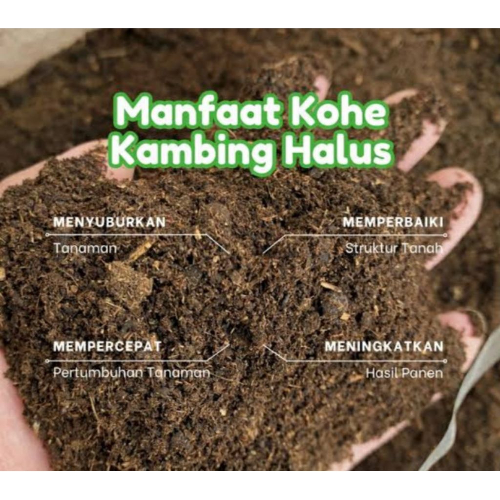 Kohe kambing giling 1kg super