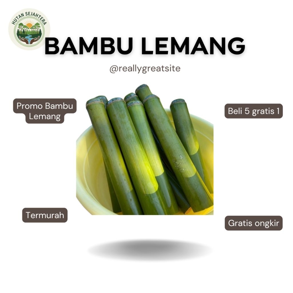 SPESIAL PROMO Bambu Lemang Bambu Talang Lemang Bambu Untuk Masak Nasi Lemang