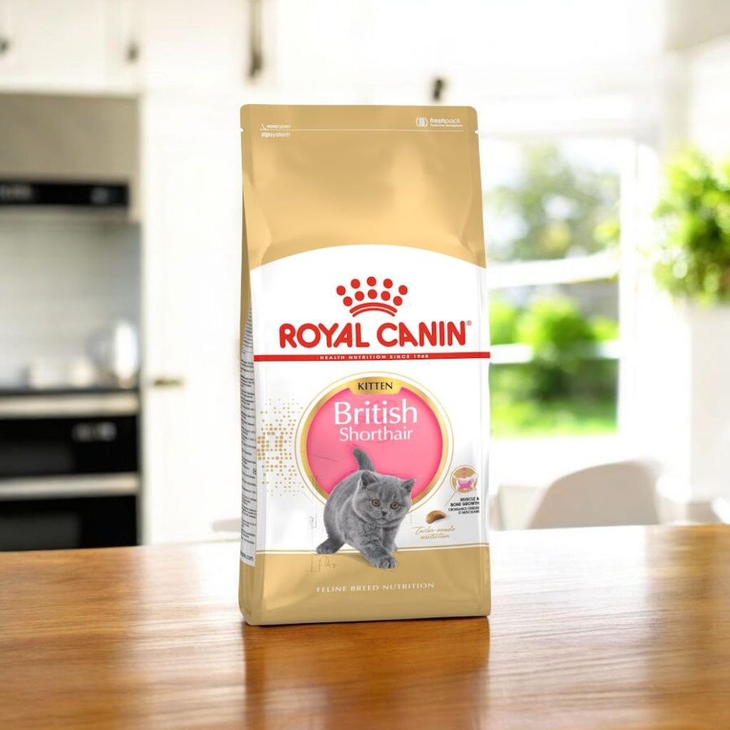 Royal Canin Kitten British Shorthair Makanan Anak Kucing Dry 2Kg
