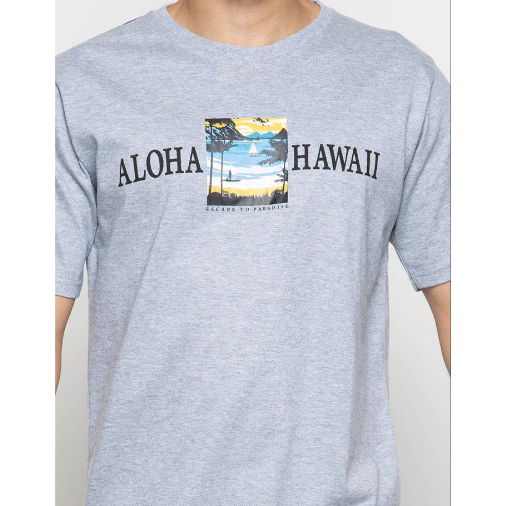 Kaos Pria T Zone Size S Matahari