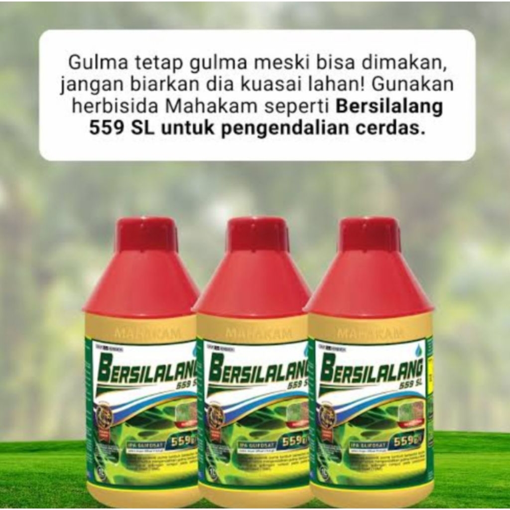 Herbisida - Bersilalang 559SL 1L