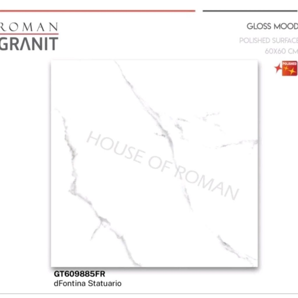 Roman Granit GT609885FR dFontina Statuario 60x60 Kw2(Ryl)