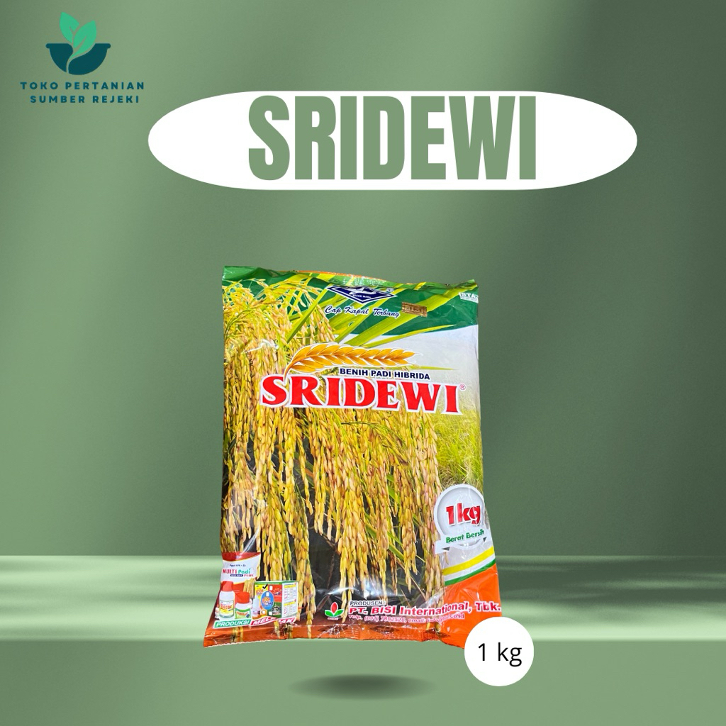 BENIH PADI HIBRIDA SRIDEWI 1 KG