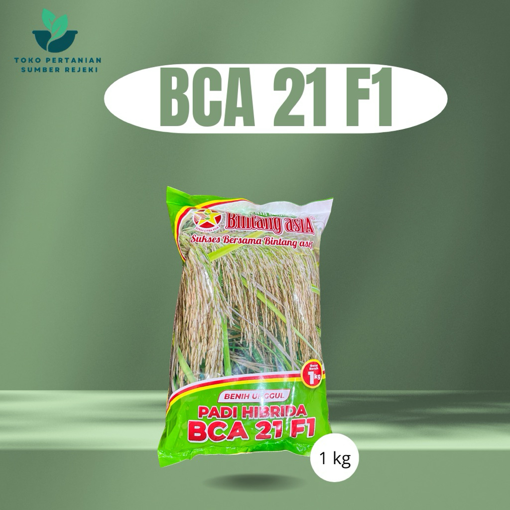 BENIH PADI HIBRIDA BCA 21 F1 1KG