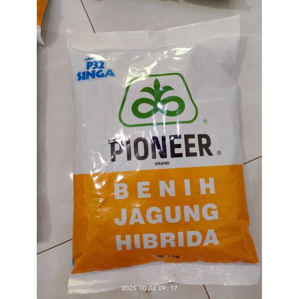 BENIH JAGUNG HIBRIDA PIONER P32 SINGA 1 KG