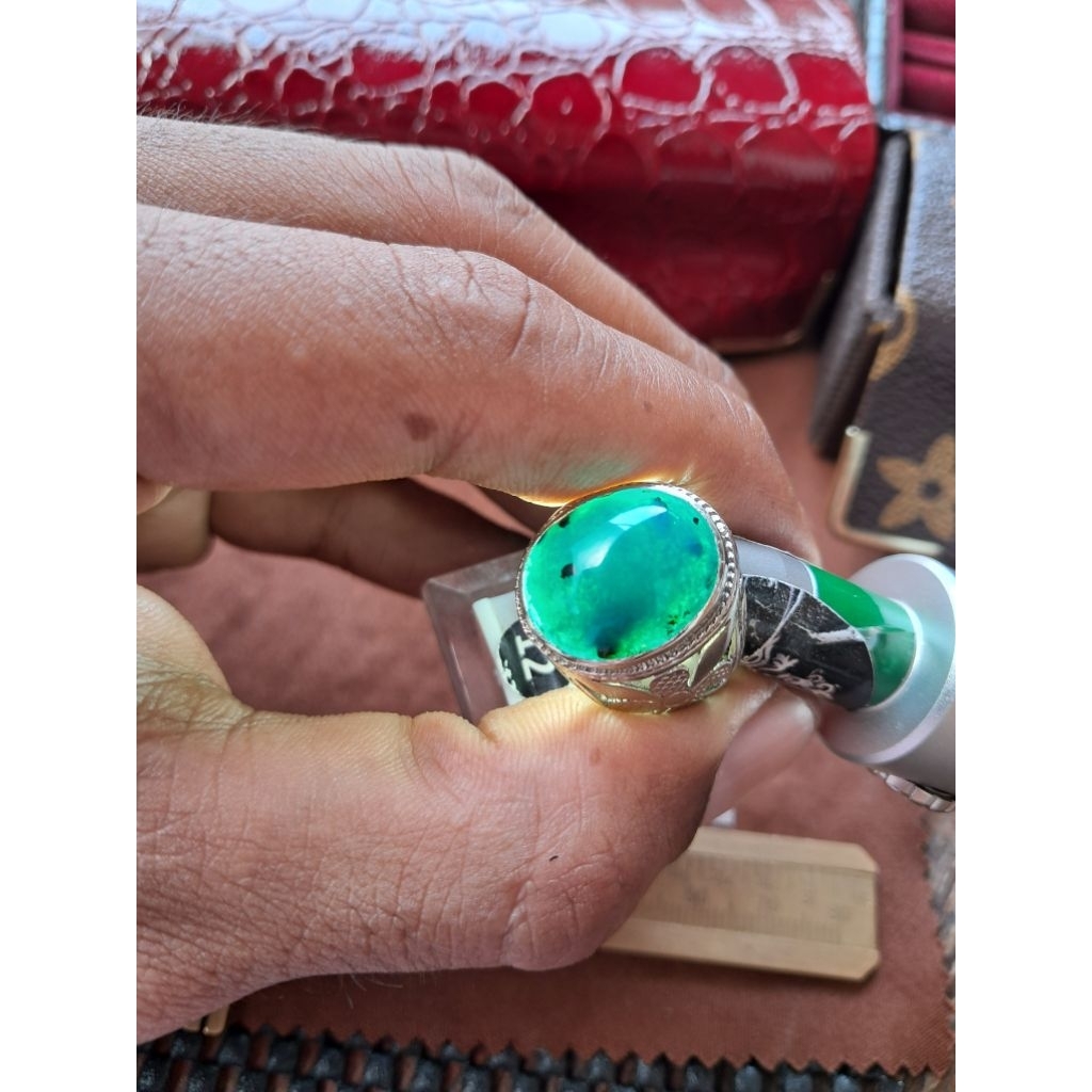 Bacan Doko Bluish Hitam Tembus