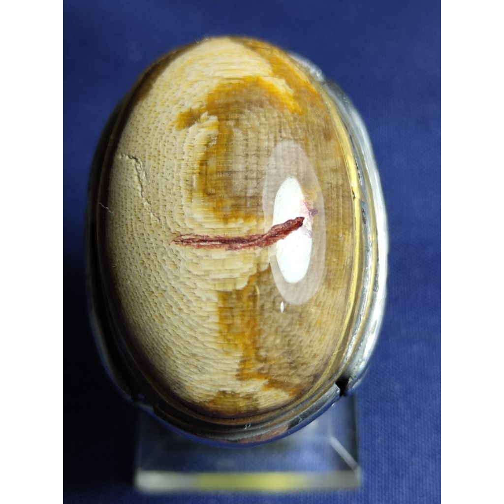 Natural Kelor Petrified Wood, MURAI / Batu Fosil Kayu Kelor, MURAI