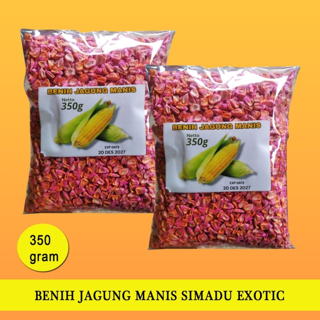 Benih Bibit jagung manis super Simadu Exotic 350gram